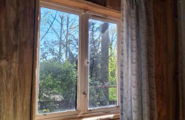 Waldidylle - Bungalows an der Talsperre Kriebstein - Foto 19