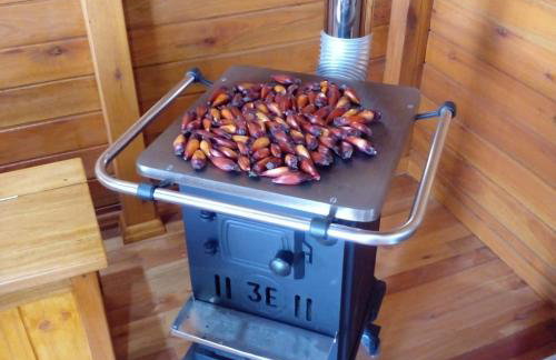 Chalé Recanto da Tiriva - Photo 8