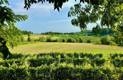 Residenza Le Vigne - Foto 33