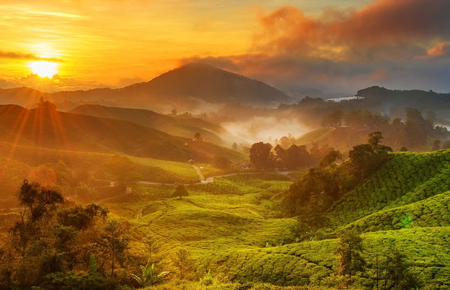 Tour in Bélesta - Foto 4