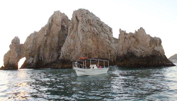 Cabo San Lucas Boat Trip & Snorkelling - Foto 2