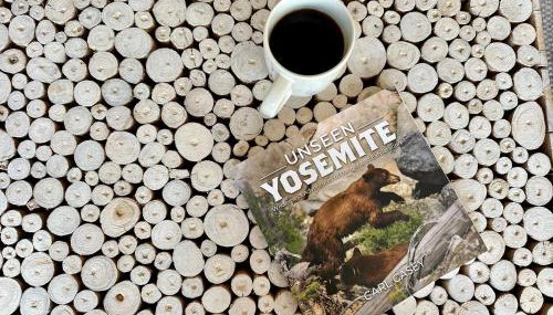 Prime Location Yosemite Adventure by Casa Oso - Foto 5