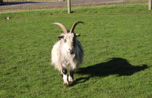 Rolling Mill, Wolds Way Holiday Cottages, 2 Bed, 1st floor - Foto 23