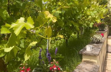 Am Dollespark - Foto 17