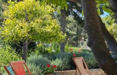 Villa-Agave , by the sea in Porto-Rafti outside Athens - Foto 56