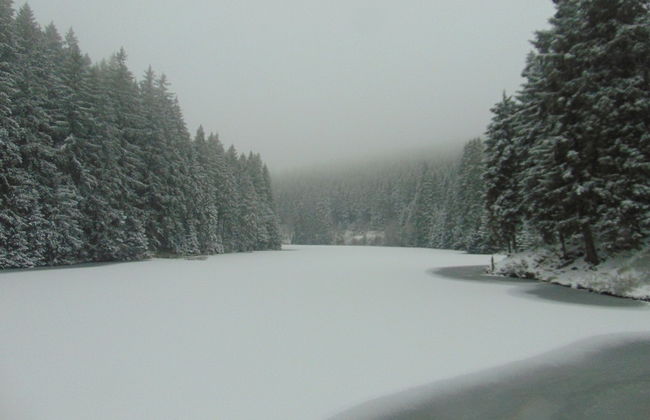 Apartment in Wildemann Near Hahnenklee Ski Area - Foto 20