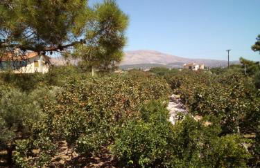 Family and friendly home. - Foto 30