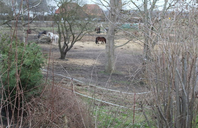 Gemuetlicher Bungalow in Boergerende-rethwisch mit Sauna - Photo 68