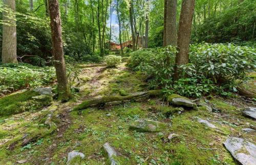 Tree Top Mountain Lodge - Photo 64