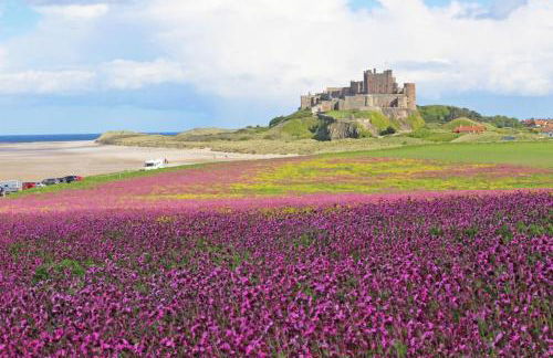 2 Bed in Berwick-upon-Tweed oc-l32027 - Foto 27