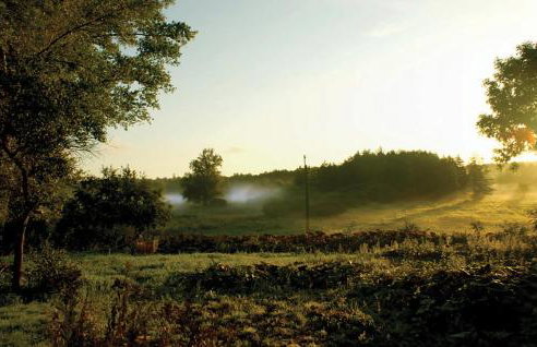 Nice Home In Pl-76-113 Postomino - Foto 9