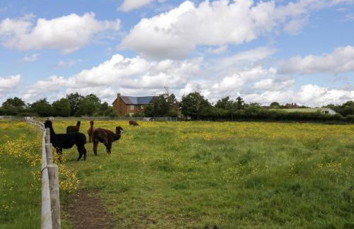 Lavender Cottage - Foto 25