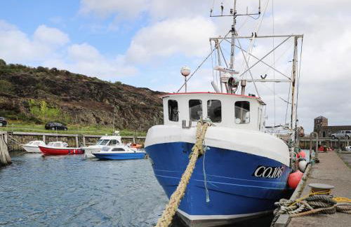 The Hawthorns - Photo 34