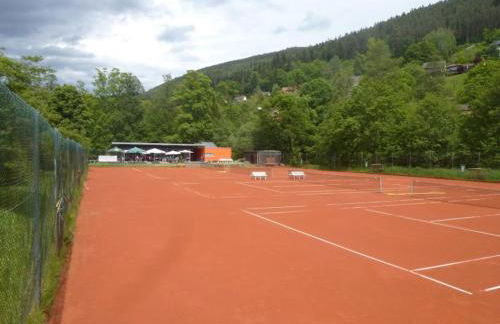 Kurpark Apartment, Schwimmbad, Sauna, Terrasse - Foto 39