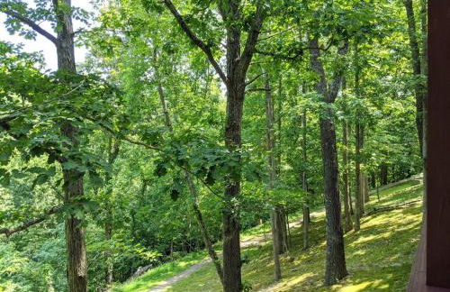 Corner Lake Getaway - Photo 13