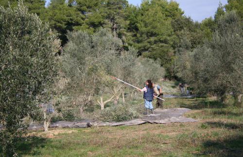 Terry Land Village - Foto 73