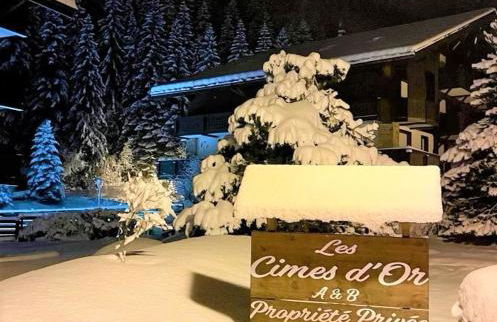 les Cimes d'Or Mont blanc - Photo 19