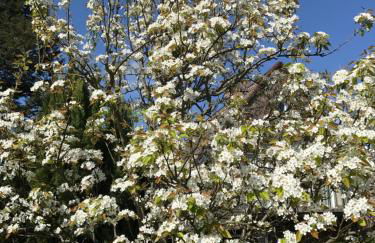 Bel Art Etage mit großem Parkplatz - Foto 35