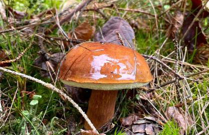 Ferienwohnung im Zentrum von Sonneberg - Photo 12