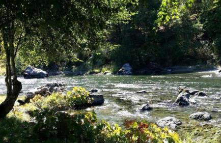 Family-Size Cottage with Trinity River Views in California - Foto 18