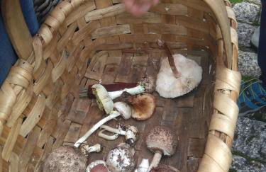 Casa da Feira - Foto 35