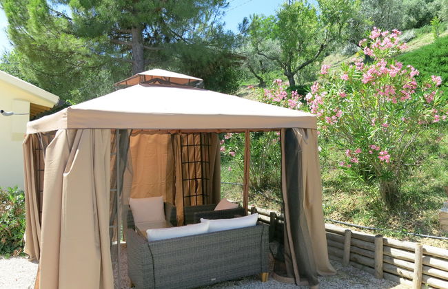 Intensivo-Elegante - Foto 7