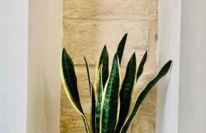 Il Melograno - Foto 18