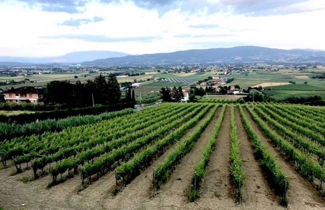 Agriturismo Chiorri - Foto 30