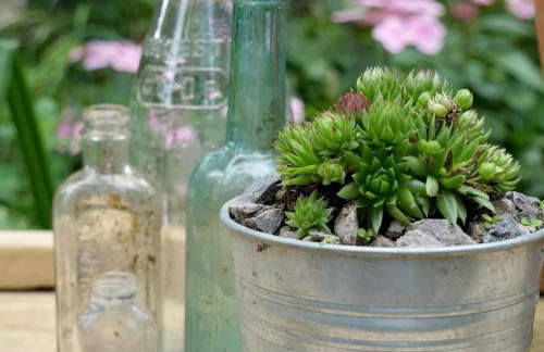 Natures Edge Cabin - Photo 40