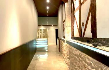 San Juan Centro Histórico - Foto 11