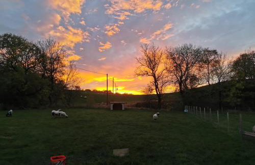 Glen Bay - 2 Bed Lodge on Friendly Farm Stay with Private Hot Tub - Foto 11