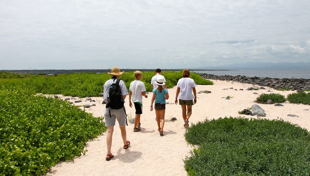 North Seymour Island Full Day Tour - Photo 5