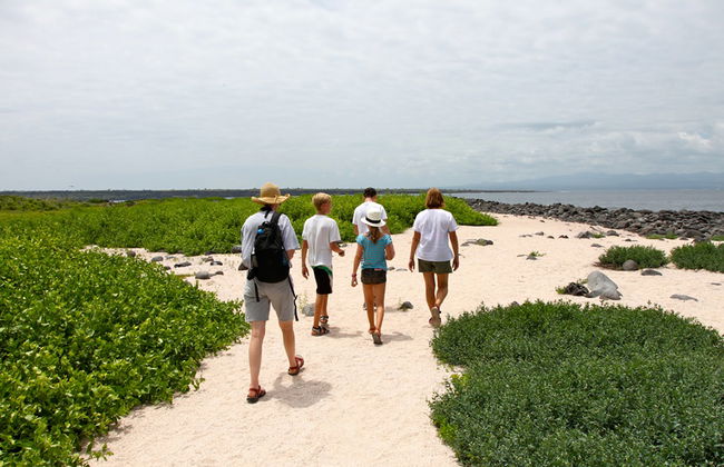 North Seymour Island Full Day Tour - Photo 5
