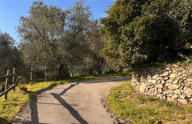 Podere Val di Vico - Foto 2