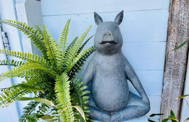 Beautiful Cosy Garden Cabin, 5min Walk to Beach - Foto 15