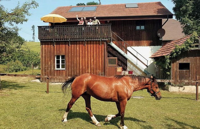 Guesthouse la Molière - Foto 39