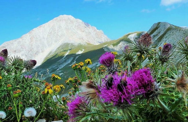 B&b Casa Tua Original Rooms Await - Foto 16