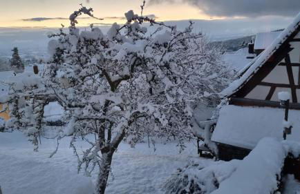 Fewo-Taunus-Panoramablick - Foto 21