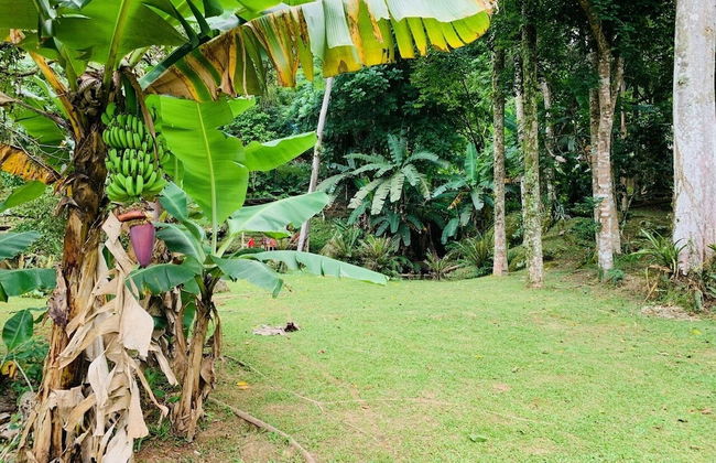 Pousada Sitio Olho Dagua - Foto 80