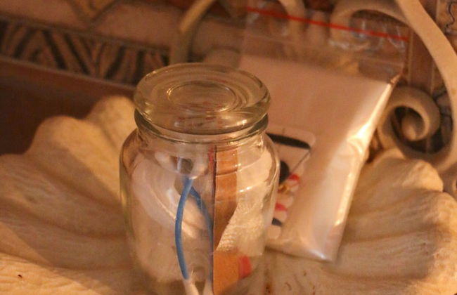 Daisy Country Lodge - Foto 59