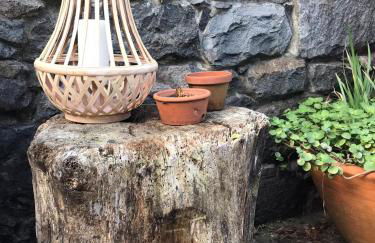 Palheirinho da Camélia - Foto 23