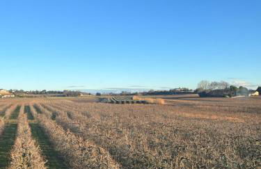 Gîte d'ysée au milieu des vignes - Foto 33
