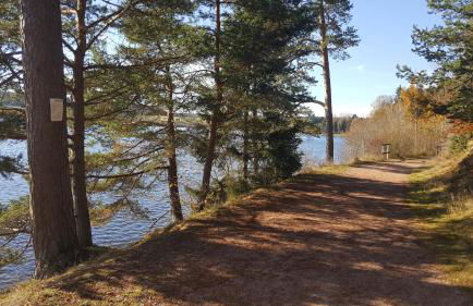 Ferienwohnung am Kirnbergsee - Photo 20