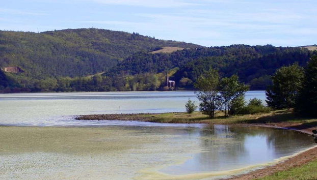 Furnas Valley, Botanical Gardens & Hot Springs Tour - Foto 5