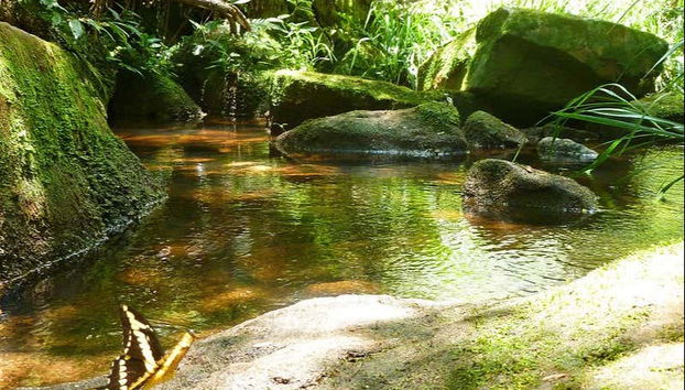 Enjoying nature in the park