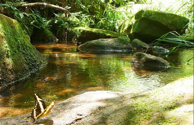 Ybycui National Park + La Rosada Museum Tour - Foto 2
