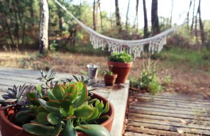 Tiny House Boho Océan - Photo 9