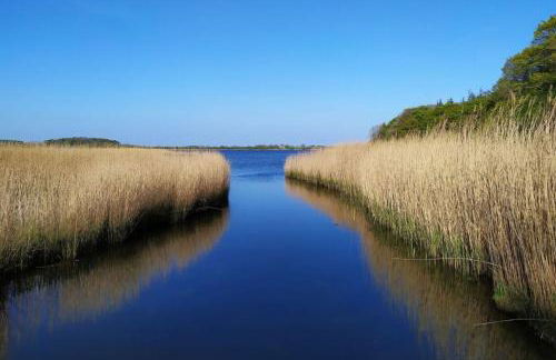 Ferienhaus Wackerama in Gelting - Foto 27