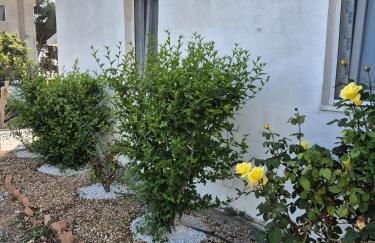 Villa Elvira Country House - Foto 54