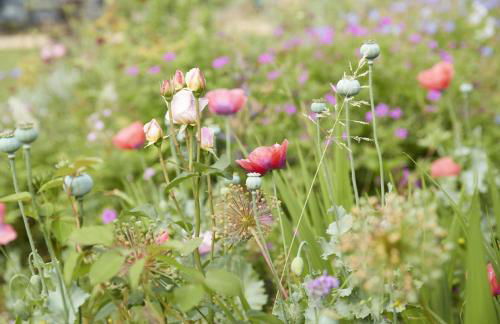 The Old Cheese Press, Eckington - Foto 26